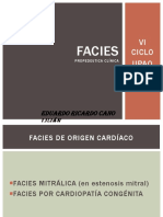 facies-130501132050-phpapp02