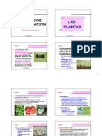 e - Fuente - Plantas PDF