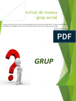 Colectivul de Munca - Grup Social