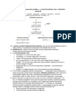 8.-A-grammatikai-komponensek-modellje...