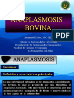 Anaplasmosis 1st 2003