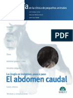 CX Abdomen Caudal PDF