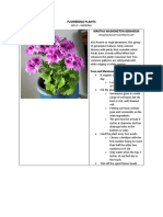 Flowering Plants: Martha Washington Geranium