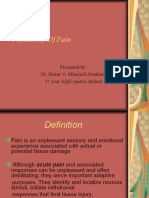 Physiolohy Of Pain