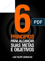 6-Principios-Para-Alcancar-Suas-Metas-e-Objetivos.pdf