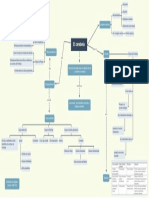 Mapa Conceptual Tema 12 Cerebelo PDF