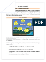 Las fases del carbono y sus aplicaciones