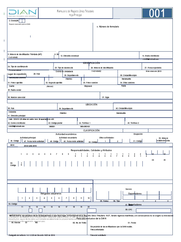 Formulario RUT Editable para Exportadores | PDF