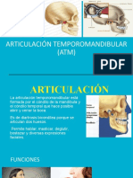 Articulación Temporomandibular (ATM)