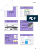 Notes - Cell Membrane Structure and Function