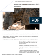 dfZimbabwe suspects bacterial disease behind elephant deaths - CNN.pdf