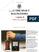 Induccion_mag (1).pdf