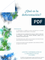 Deforestacion 1.0