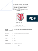 Histología-Ariana Campos PDF