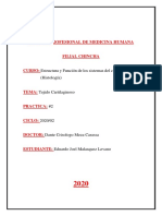 Histología-Eduardo Malasquez PDF