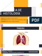 Histología-Fabiola Saravia PDF