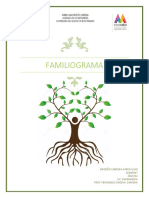 Familigrama: herramienta efectiva para la atención primaria