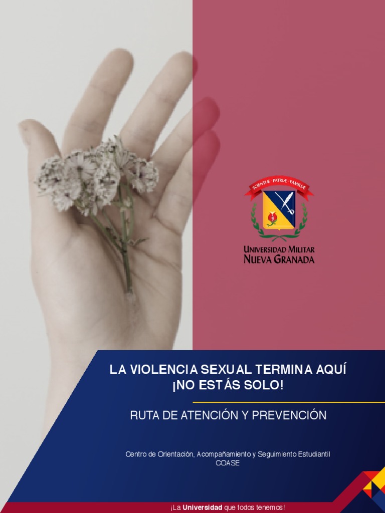 La Violencia Sexual - Ruta de Atencion | PDF | La violencia contra las ...
