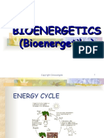 BIOENERGETICS