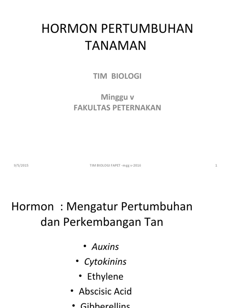 Hormon Pertumbuhan Tanaman Pdf Fruit Plant Morphology