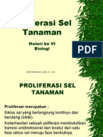 Poliferasi Sel Tanaman