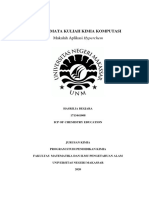 Hasrilia Beskara - 1713441008 - Picp17 - Makalah Aplikasi Hyperchem PDF