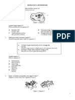 UJIAN BIO F4 & SKEMA