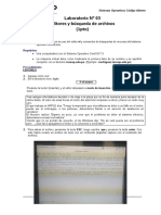 Lab03-Editores_y_Búsqueda_de_Archivos_2020_II.doc