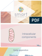 Intracellular Components