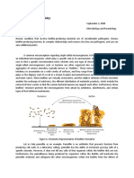 2A Sarigumba Biofilms