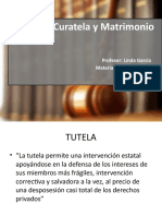 Tema 6 Tutela, Incapaces y Patrimonio de Familiaok