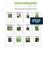 Actividades Biologia Segundo Cuadernillo Primer Trimestre Octubre