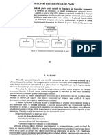 Pasivul Patrimonial PDF