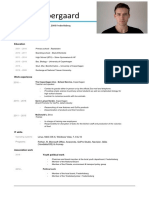 CV Martin Voergaard PDF