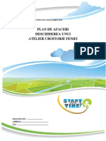 vdocuments.mx_model-plan-afaceri-croitorie-femei.pdf