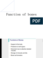 Function of bon-WPS Office