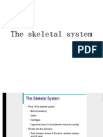 The skeletal sy-WPS Office