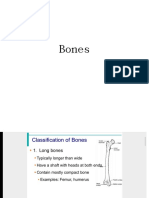 Bones-WPS Office