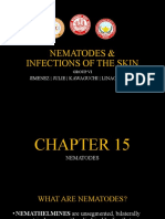 Nematodes & Infections of The Skin