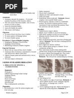 Bladder Irrigation Cystoclysis