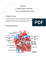 Materi 2 Anatomi Kardiovaskuler