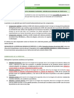 Tema 5. Obstrucción Del Tracto Urinario Inferior. Hiperplasia Benigna de Próstata PDF