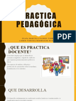 Practica pedagógica