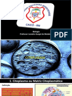 Citoplasma e Citoesqueleto - Professor Leandro