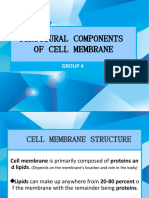 Structural Components of Cell Membrane: Group 4