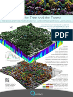 Seeing the Tree and Forest with Lidar and Hyperspectral Analytics