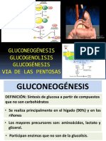 Clase-Tema 9-Gluconeogenesis-Glucogenos-Pentosas PDF