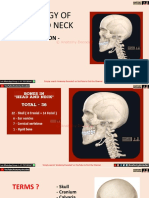 Head Neck Osteology PDF Handout (Anatomy Decoded YouTube) PDF