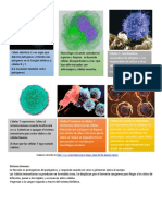 Sistema Inmune Resumen PDF