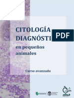 Manual de citología diagnóstica en pequeños animales - Curso avanzado UNLP